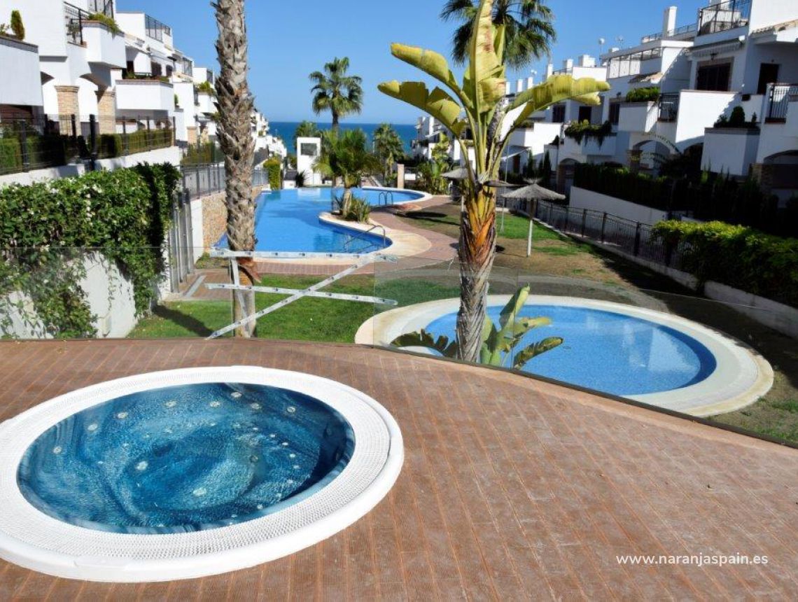 Sprzedaż - Bungalow - Torrevieja - Torrevieja town