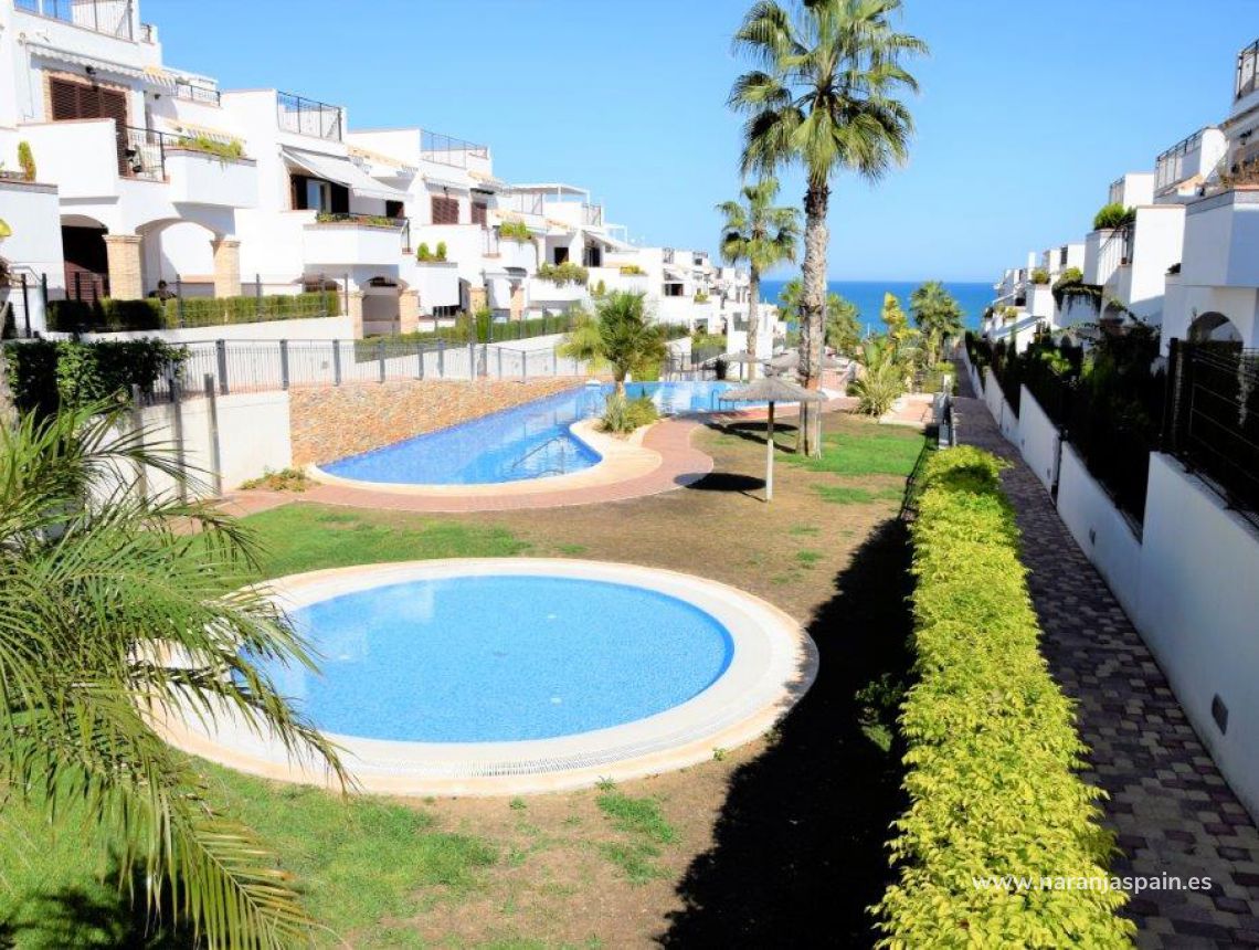 Sprzedaż - Bungalow - Torrevieja - Torrevieja town