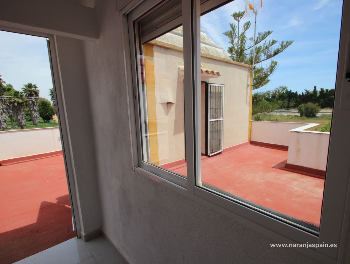 Sprzedaż - Bungalow - Torrevieja - Torrevieja town