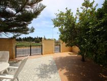 Sprzedaż - Bungalow - Torrevieja - Torrevieja town