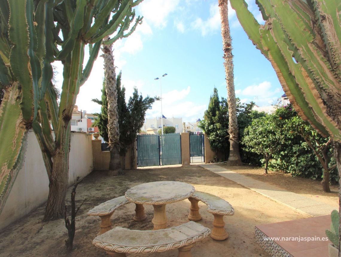 Sprzedaż - Bungalow - Torrevieja - Torrevieja town