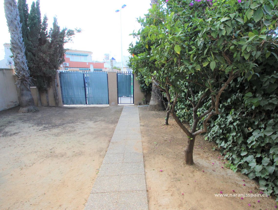 Sprzedaż - Bungalow - Torrevieja - Torrevieja town