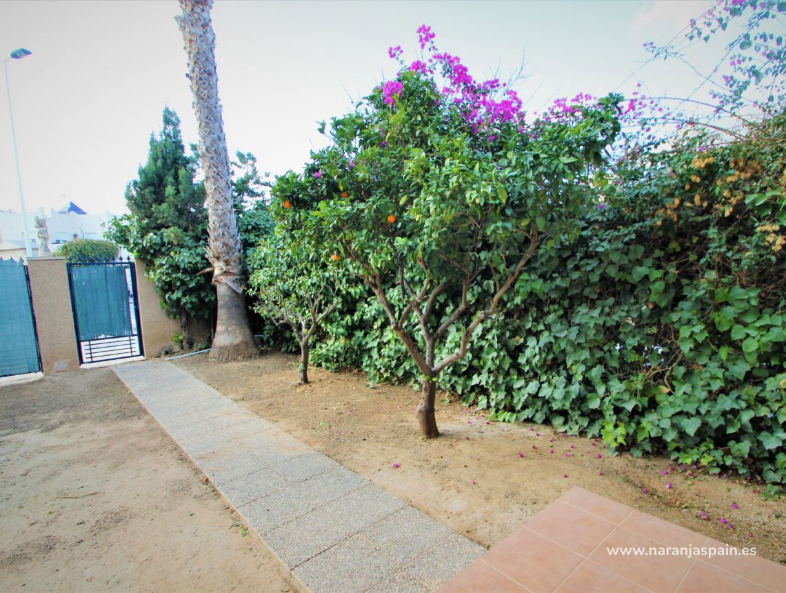 Sprzedaż - Bungalow - Torrevieja - Torrevieja town