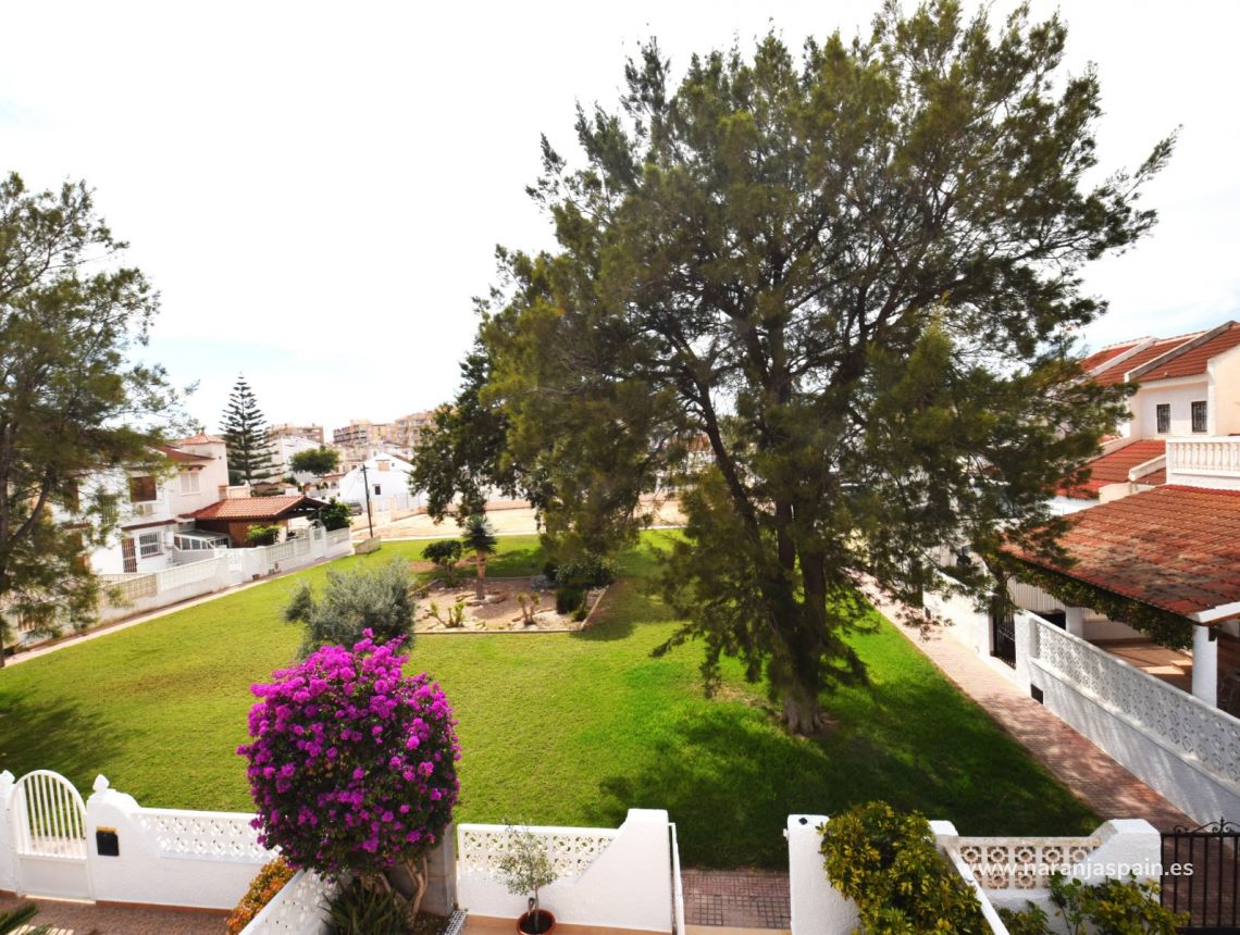 Sprzedaż - Bungalow - Torrevieja - Torrevieja town