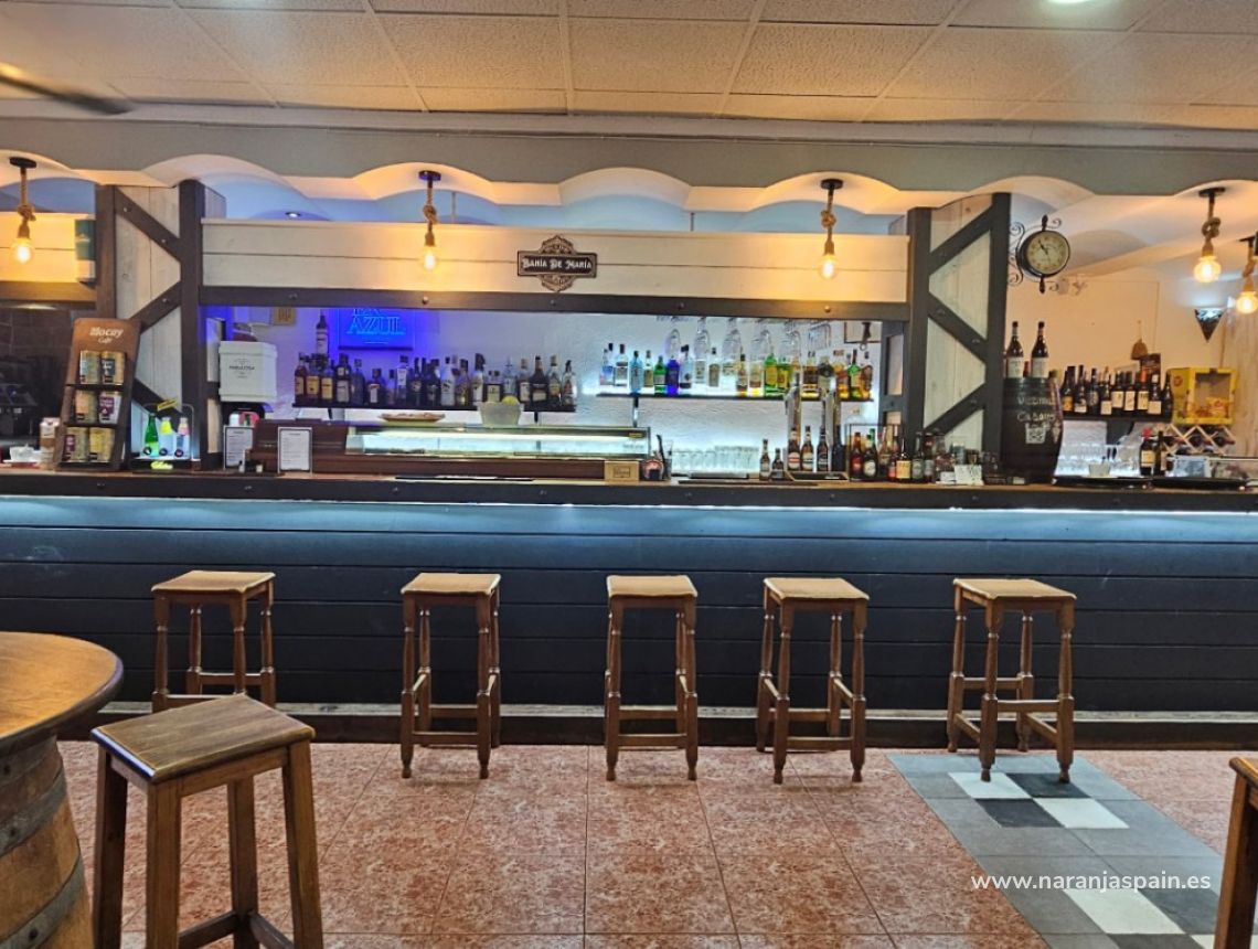 Sprzedaż - Commercial Premises - Torrevieja - aguas nuevas