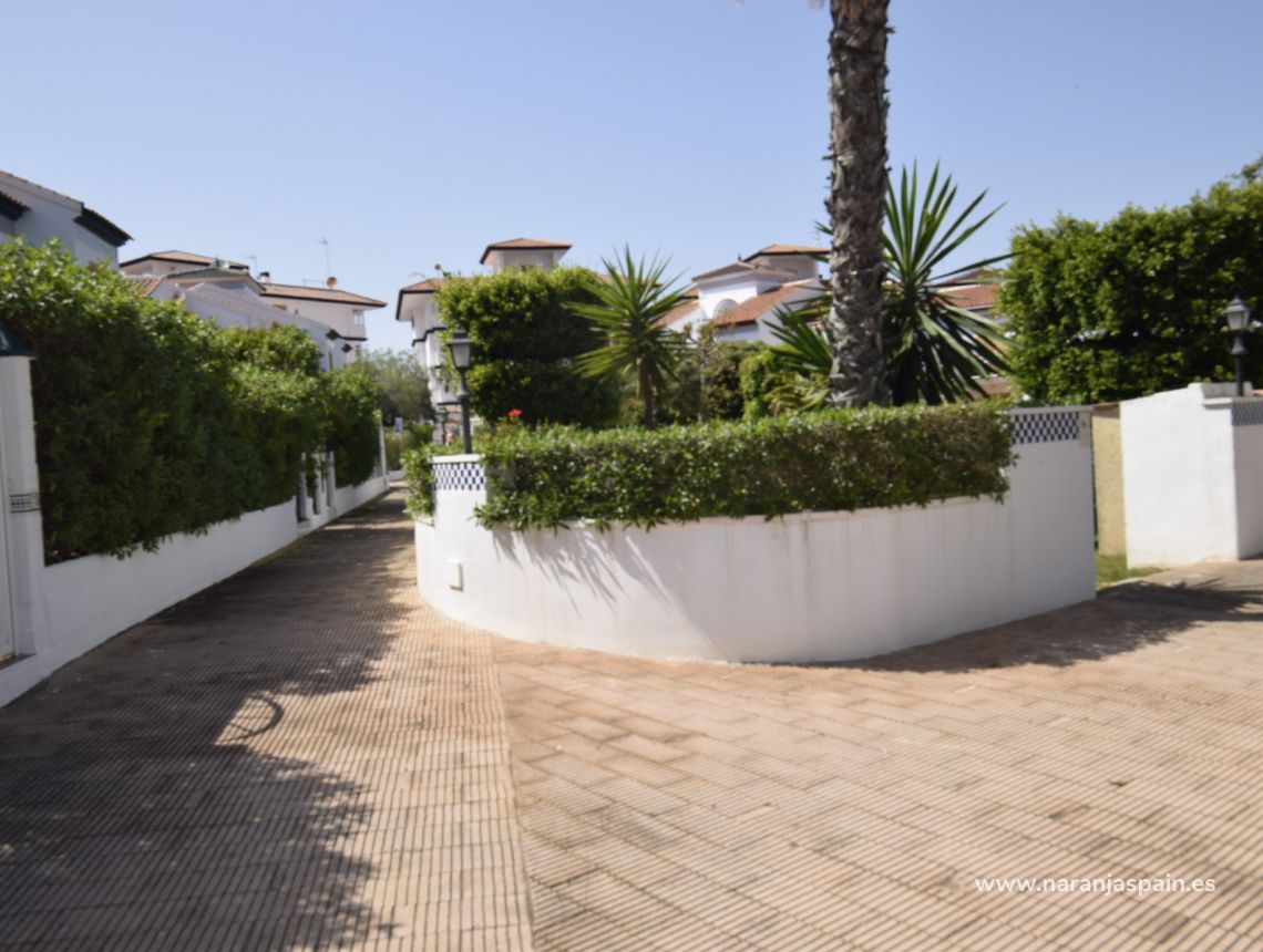 Sprzedaż - Dom bliźniak - Torrevieja - Torrevieja town