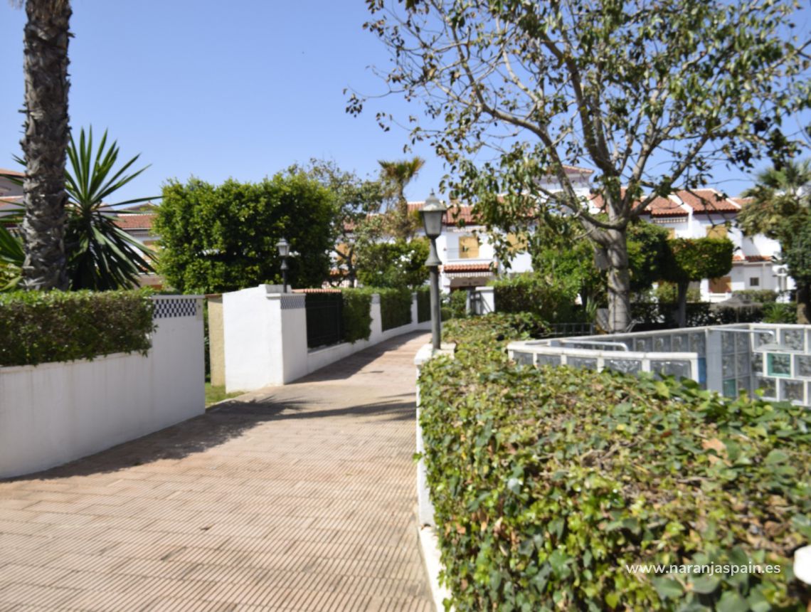 Sprzedaż - Dom bliźniak - Torrevieja - Torrevieja town