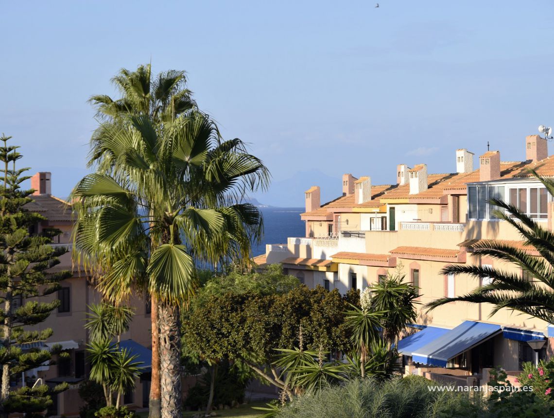 Sprzedaż - Dom bliźniak - Torrevieja - Torrevieja town