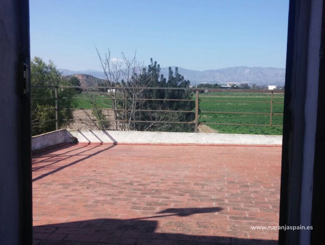 Sprzedaż - Dom - Callosa del Segura - Countryside