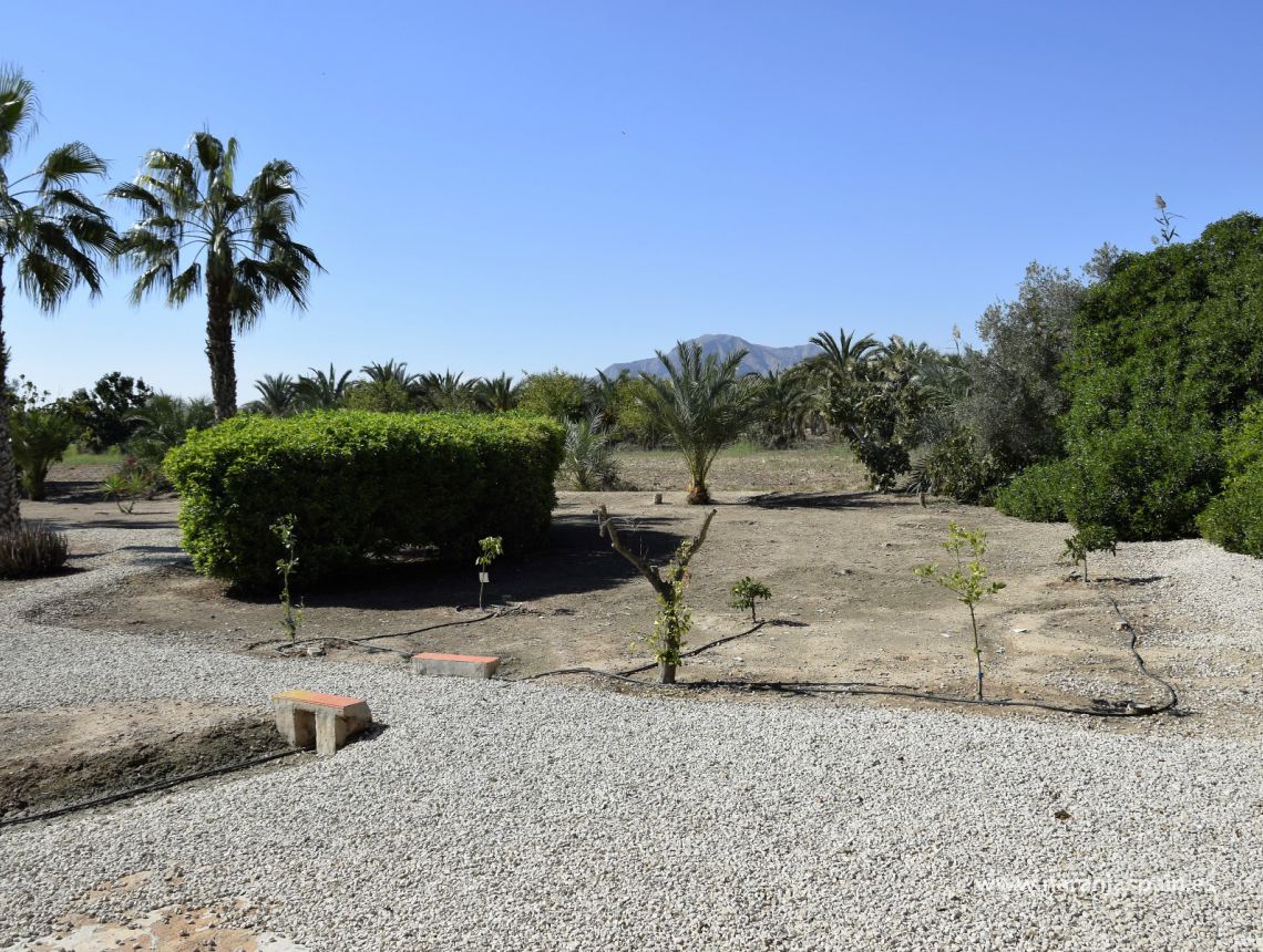 Sprzedaż - Dom - Callosa del Segura - Countryside