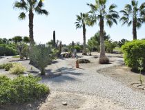 Sprzedaż - Dom - Callosa del Segura - Countryside