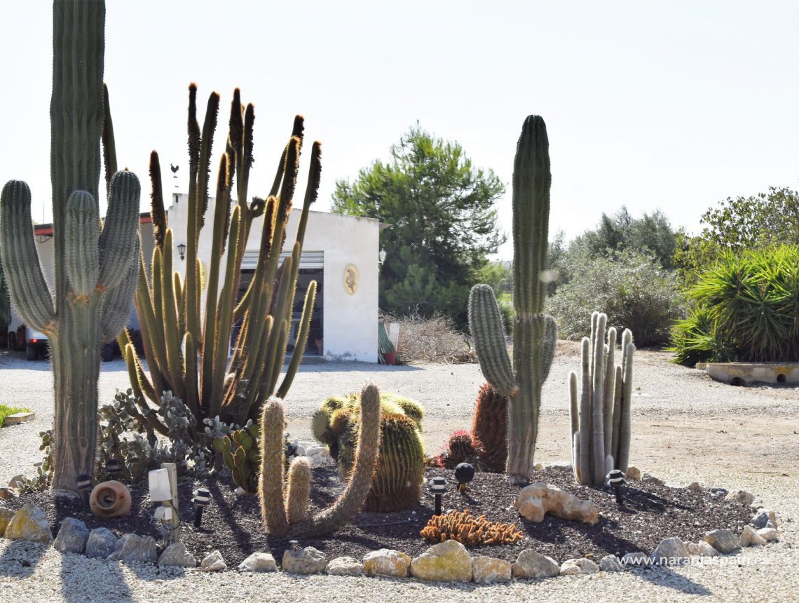 Sprzedaż - Dom - Callosa del Segura - Countryside