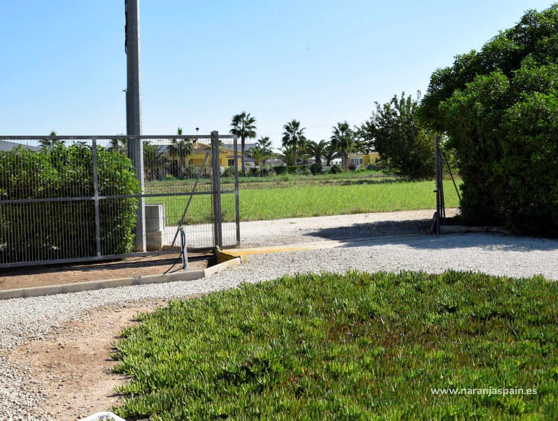 Sprzedaż - Dom - Callosa del Segura - Countryside