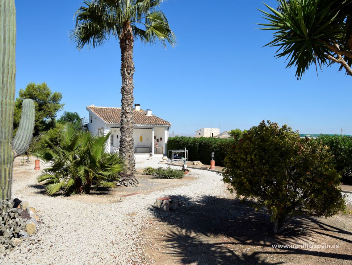 Sprzedaż - Dom - Callosa del Segura - Countryside