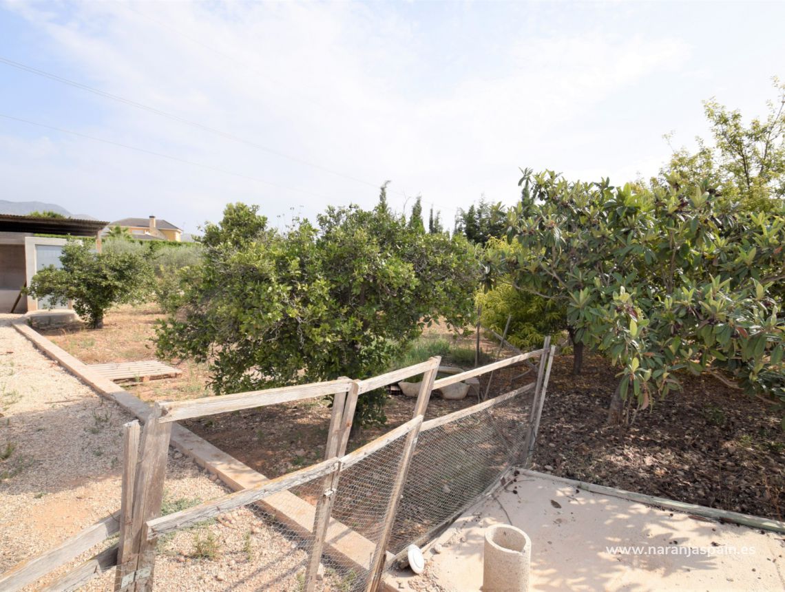 Sprzedaż - Dom - Crevillente - Alicante