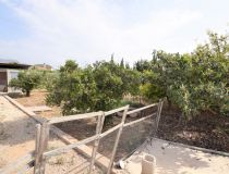 Sprzedaż - Dom - Crevillente - Alicante