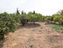 Sprzedaż - Dom - Crevillente - Alicante