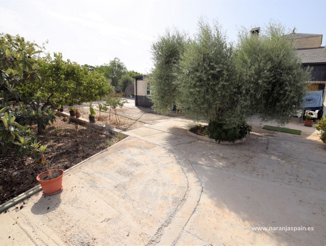 Sprzedaż - Dom - Crevillente - Alicante