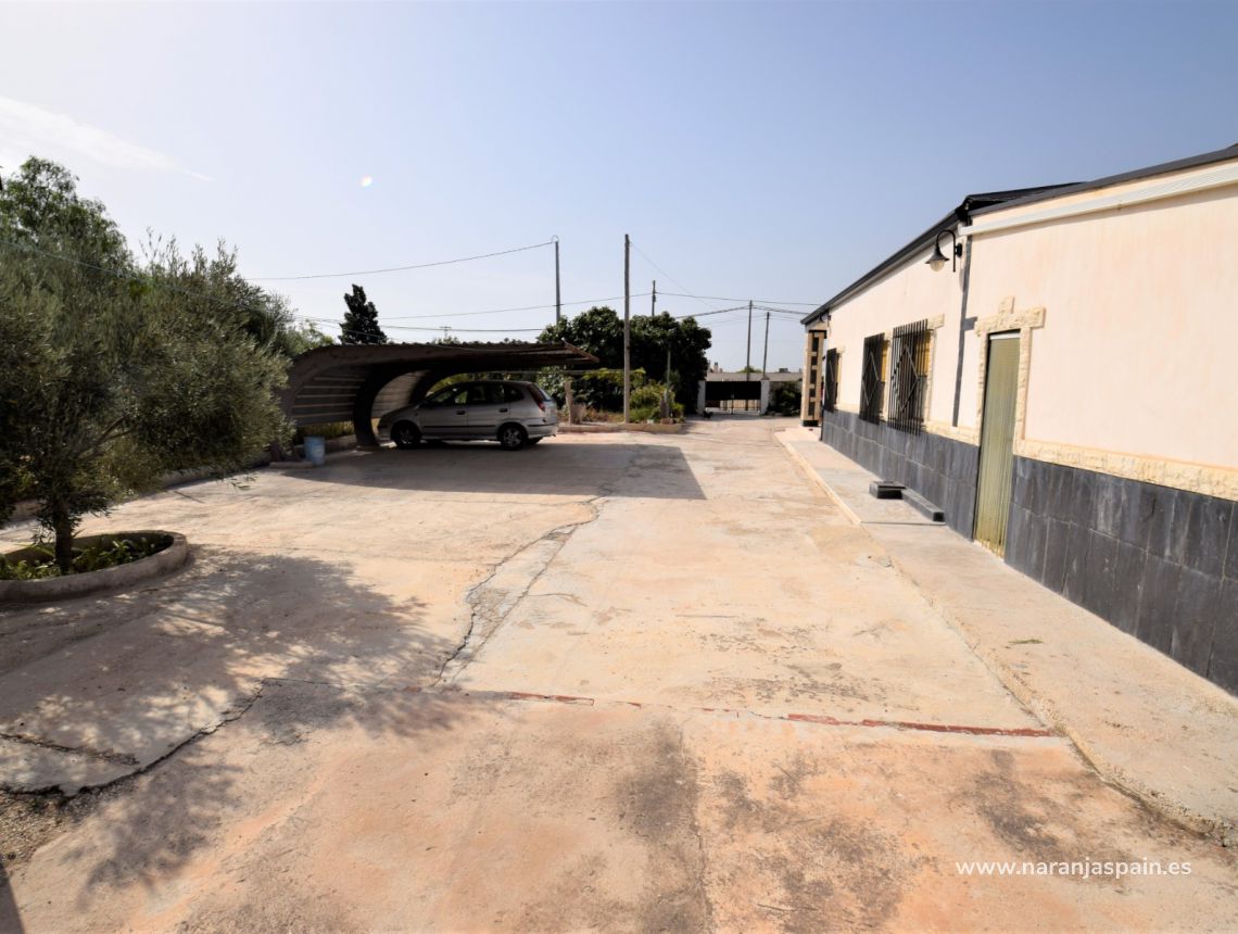 Sprzedaż - Dom - Crevillente - Alicante