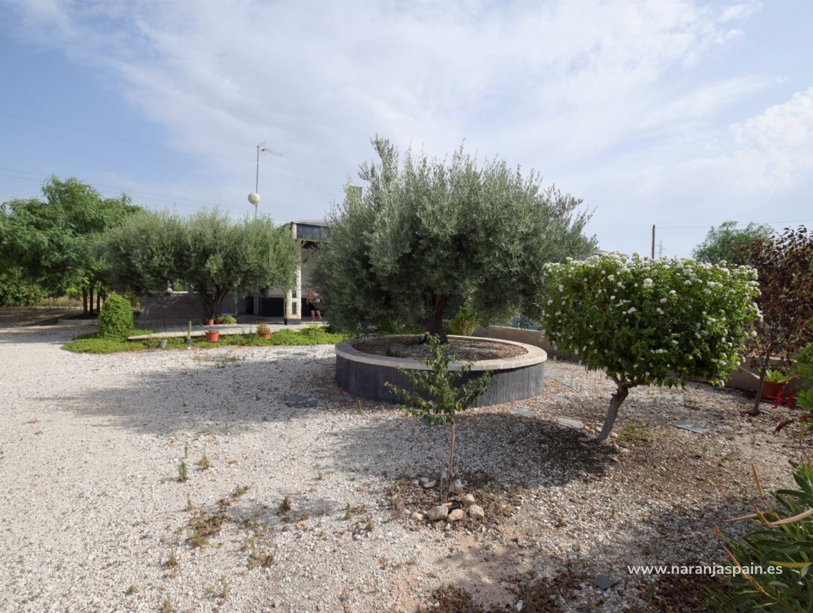 Sprzedaż - Dom - Crevillente - Alicante