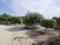 Sprzedaż - Dom - Crevillente - Alicante