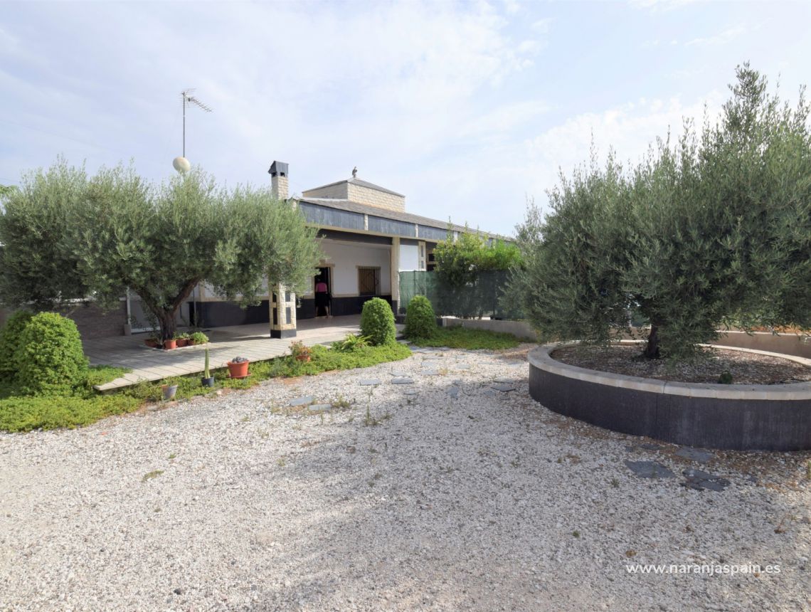 Sprzedaż - Dom - Crevillente - Alicante