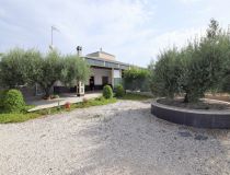 Sprzedaż - Dom - Crevillente - Alicante