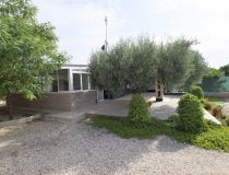 Sprzedaż - Dom - Crevillente - Alicante