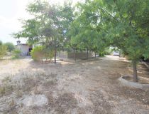 Sprzedaż - Dom - Crevillente - Alicante