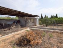 Sprzedaż - Dom - Crevillente - Alicante