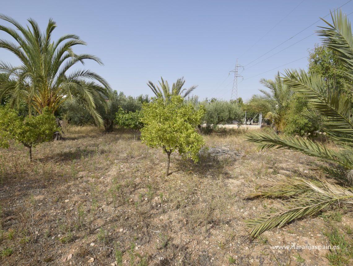 Sprzedaż - Dom - Crevillente - Alicante