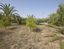 Sprzedaż - Dom - Crevillente - Alicante