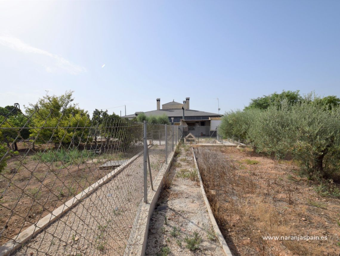 Sprzedaż - Dom - Crevillente - Alicante