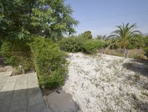 Sprzedaż - Dom - Crevillente - Alicante