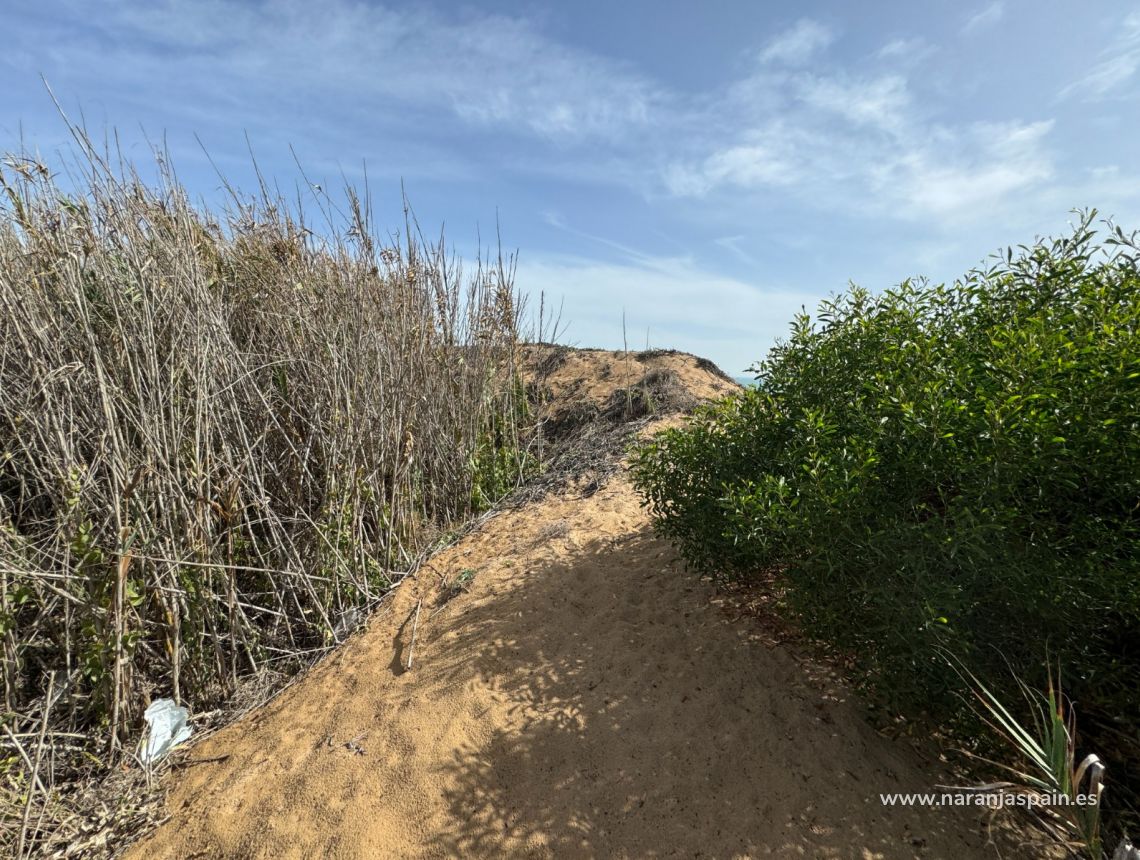 Sprzedaż - Dom - Guardamar del Segura - Plaża Guardamar