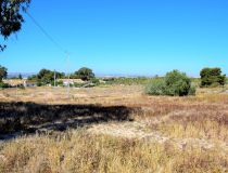 Sprzedaż - Dom - Guardamar del Segura - Urb. El Moncayo 