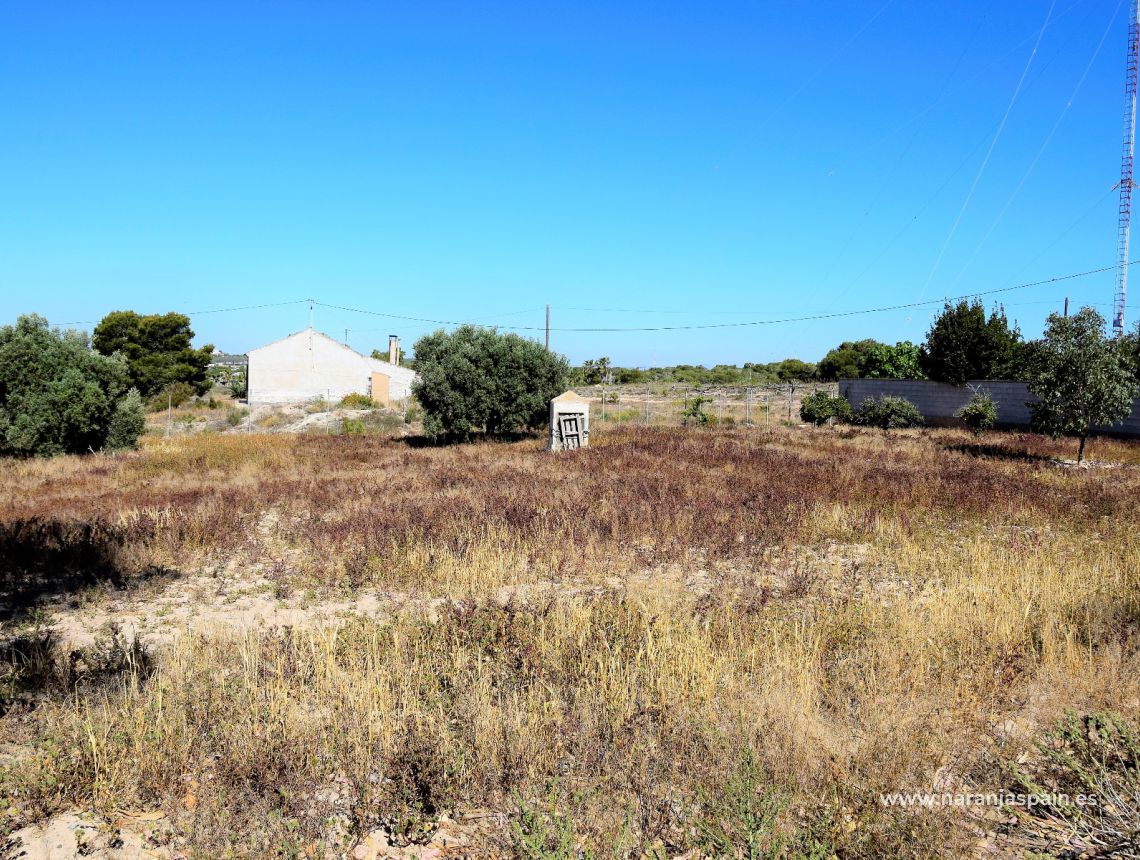 Sprzedaż - Dom - Guardamar del Segura - Urb. El Moncayo 