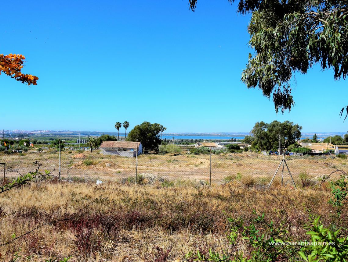 Sprzedaż - Dom - Guardamar del Segura - Urb. El Moncayo 