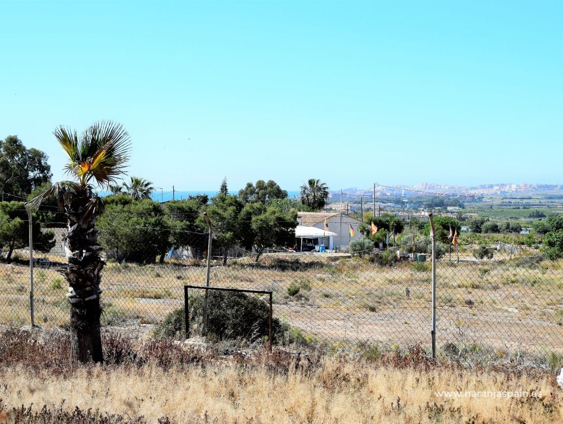 Sprzedaż - Dom - Guardamar del Segura - Urb. El Moncayo 