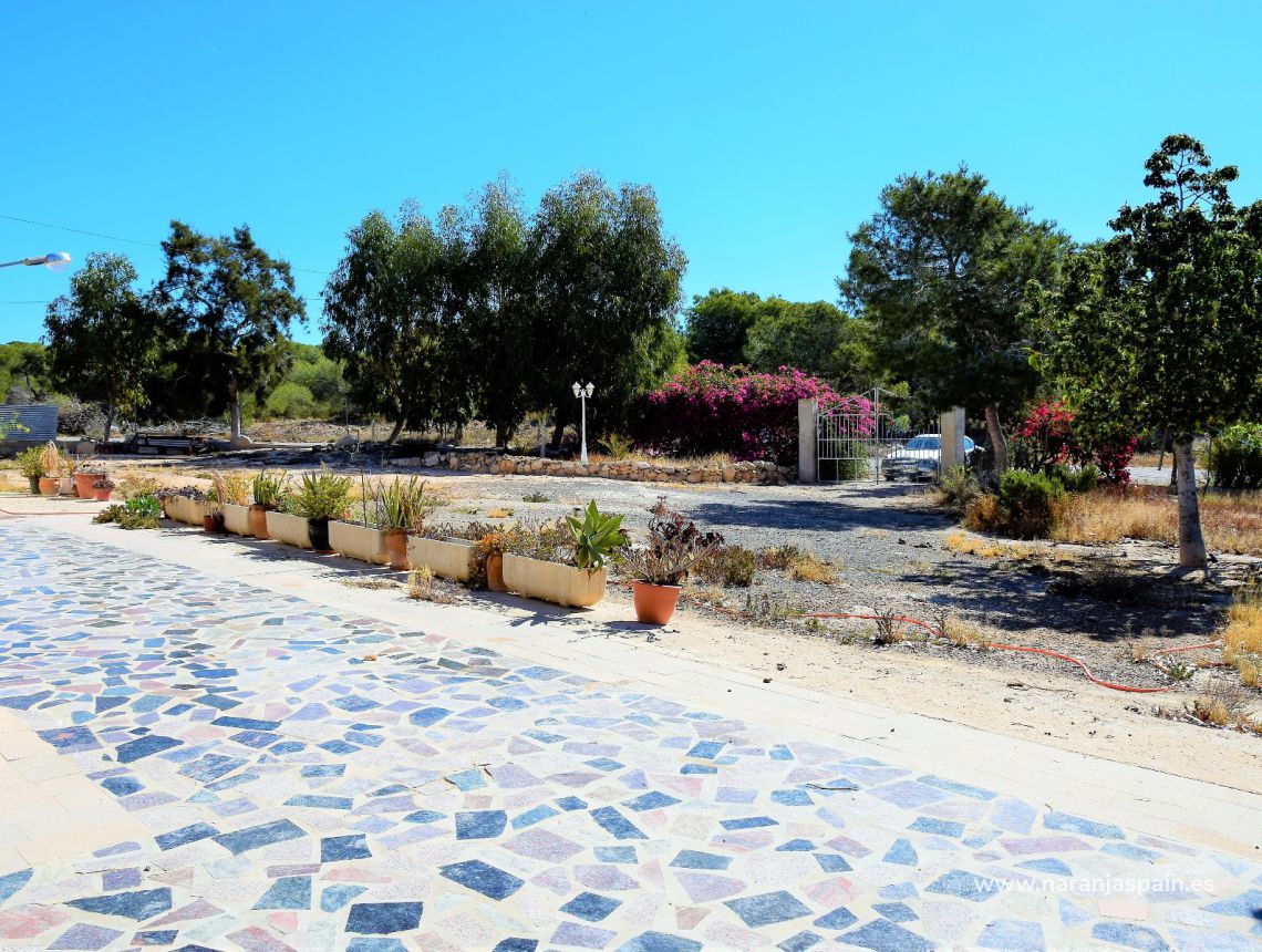 Sprzedaż - Dom - Guardamar del Segura - Urb. El Moncayo 