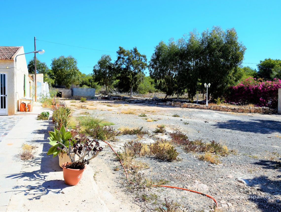 Sprzedaż - Dom - Guardamar del Segura - Urb. El Moncayo 