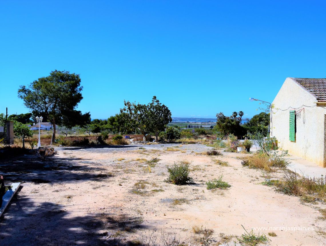 Sprzedaż - Dom - Guardamar del Segura - Urb. El Moncayo 