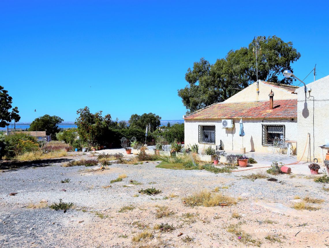 Sprzedaż - Dom - Guardamar del Segura - Urb. El Moncayo 