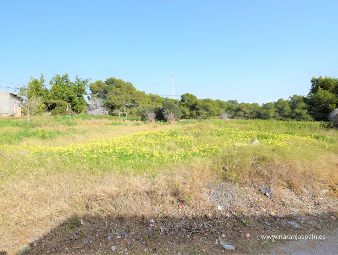 Sprzedaż - Dom - Guardamar del Segura - Urb. El Moncayo 