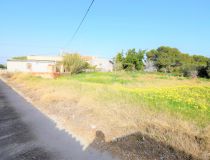 Sprzedaż - Dom - Guardamar del Segura - Urb. El Moncayo 