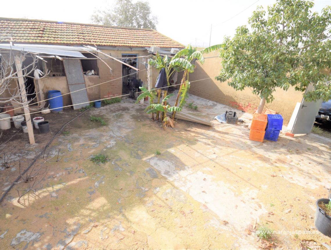 Sprzedaż - Dom - Guardamar del Segura - Urb. El Moncayo 