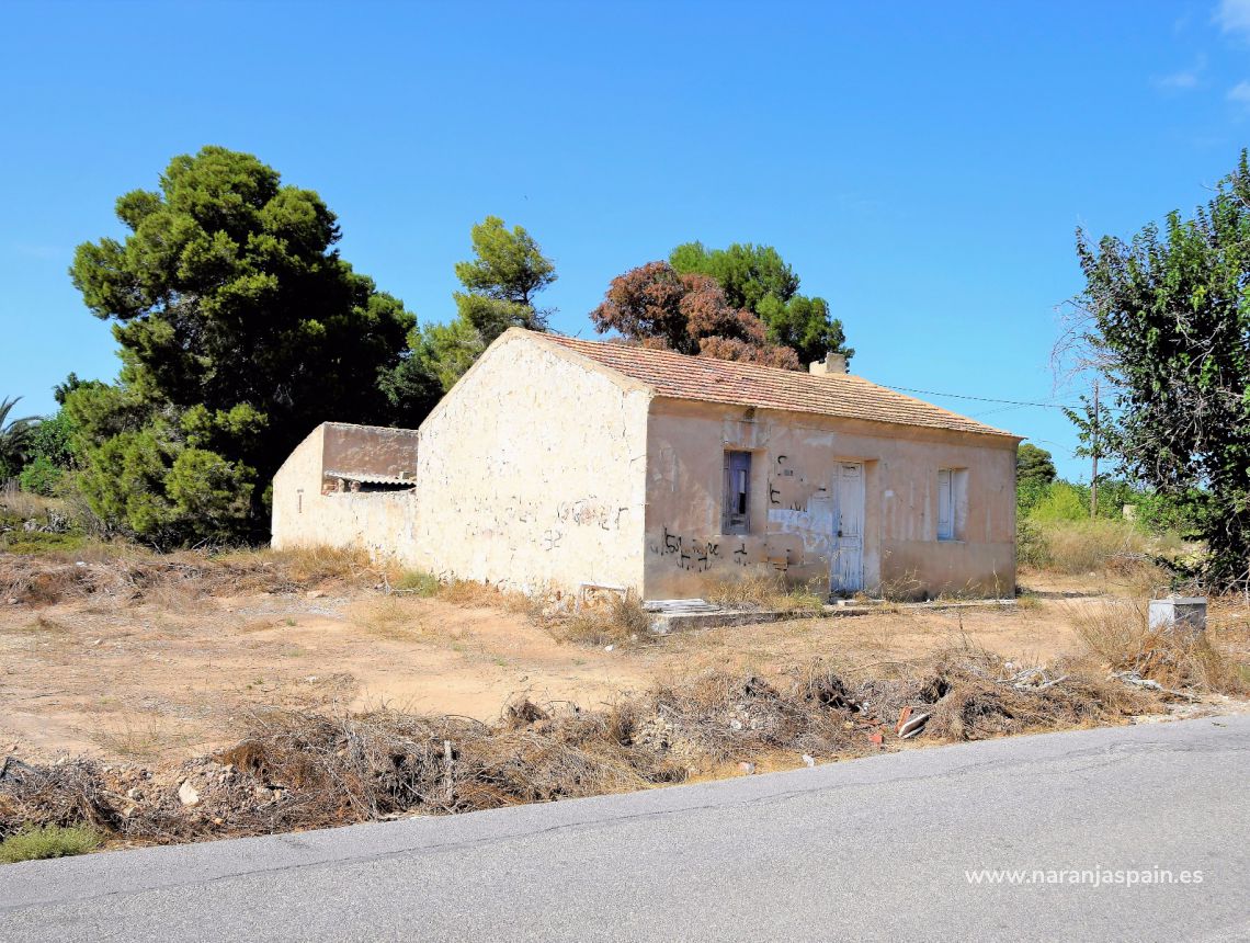 Sprzedaż - Dom - Guardamar del Segura - Urb. El Raso