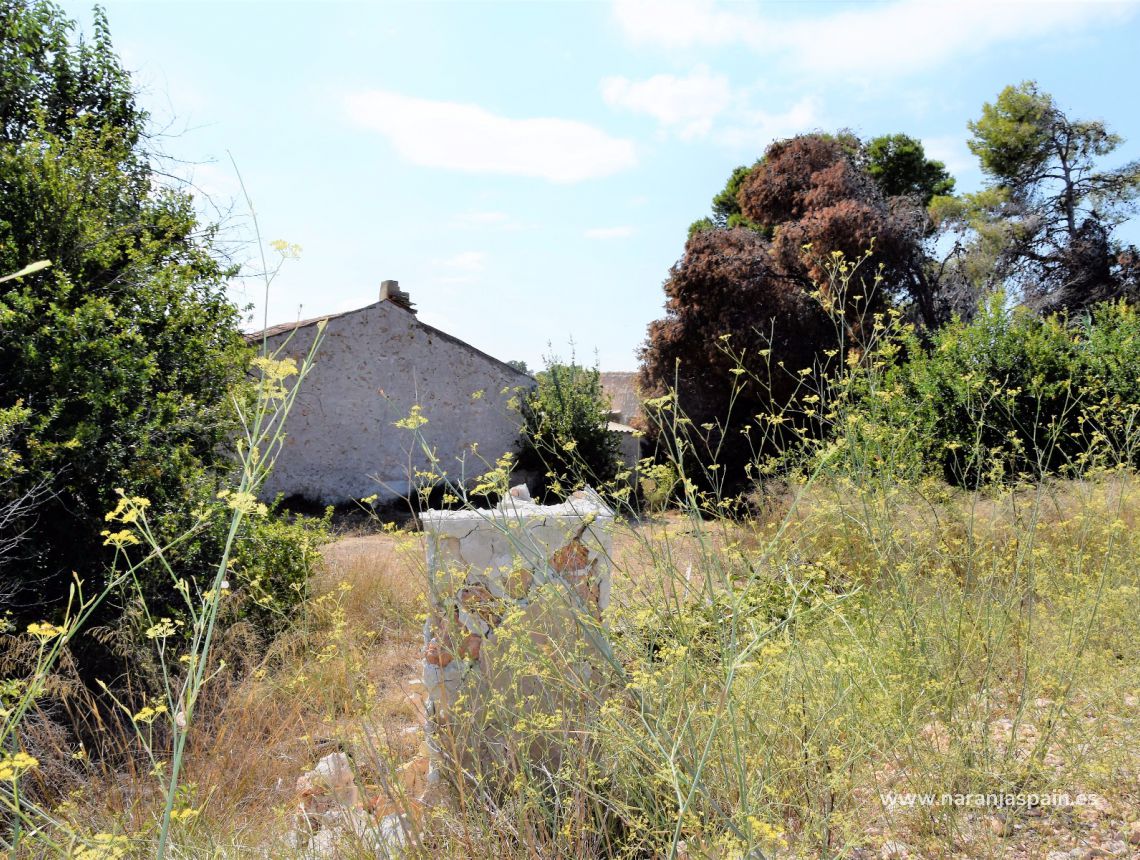 Sprzedaż - Dom - Guardamar del Segura - Urb. El Raso