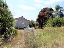 Sprzedaż - Dom - Guardamar del Segura - Urb. El Raso