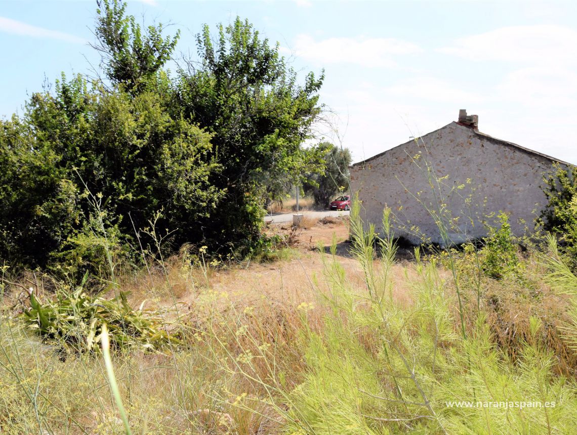 Sprzedaż - Dom - Guardamar del Segura - Urb. El Raso